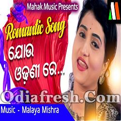 Jou Odhani Re (Ira Mohanty) Odia Song